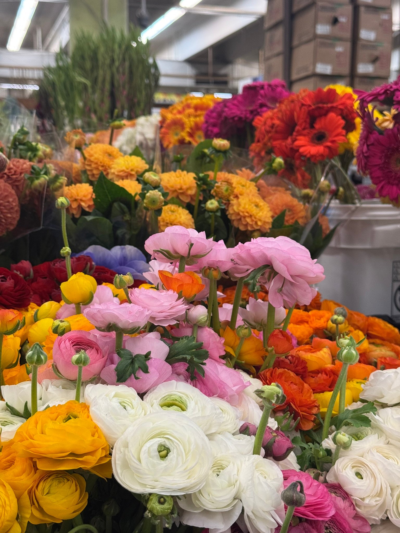 fresh ranunculus flowers at the Los Angeles flower market