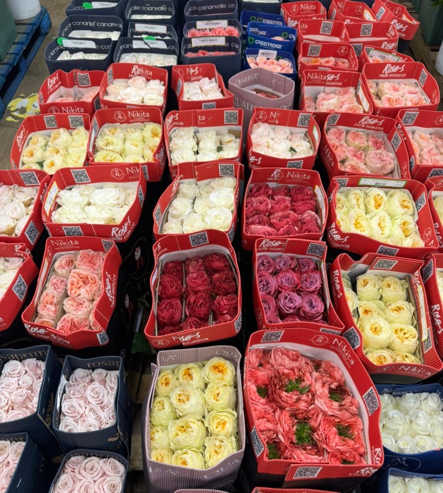 fresh roses ready for bouquet preparation