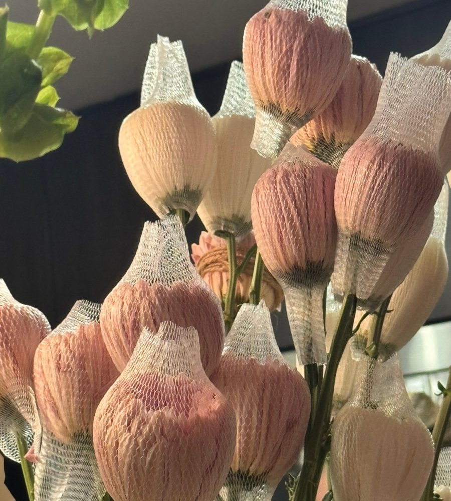 fresh peonies ready for floral design