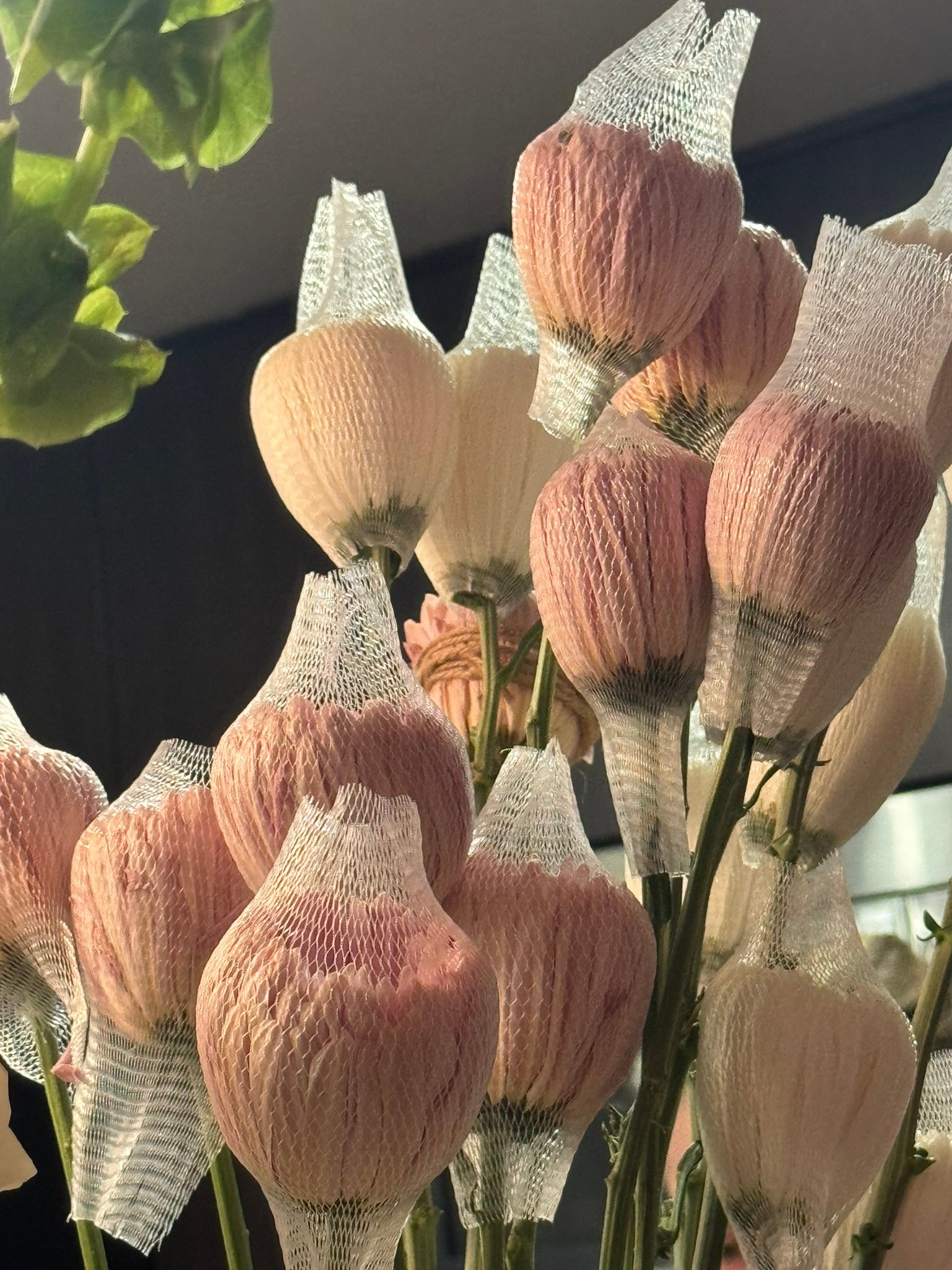 fresh peonies ready for floral design